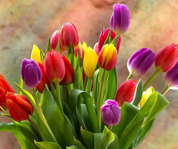 arreglos con tulipanes