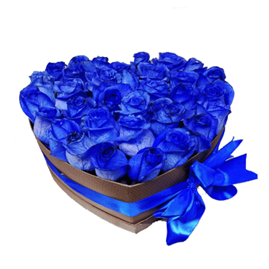 Caja forma corazón con 25 Rosas Ecuatorianas color Azules - El Jardin de  Rosas